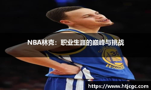 NBA林克：职业生涯的巅峰与挑战